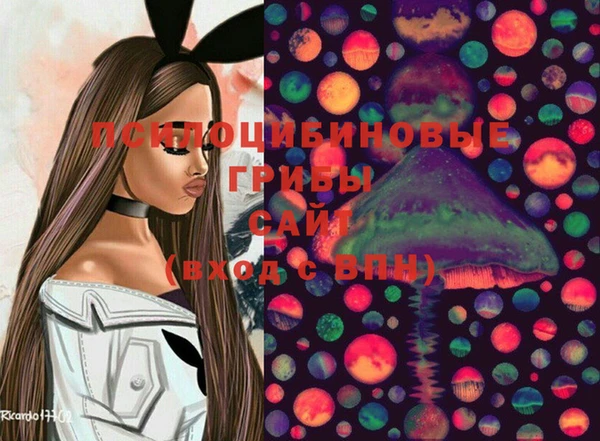 ПСИЛОЦИБИНОВЫЕ ГРИБЫ Алзамай