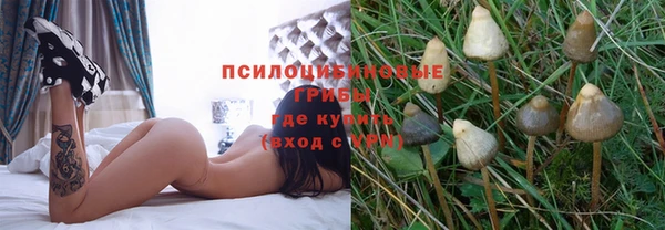 прущие грибы Алексеевка