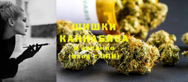 прущие грибы Алексеевка