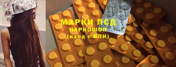 ПСИЛОЦИБИНОВЫЕ ГРИБЫ Алзамай