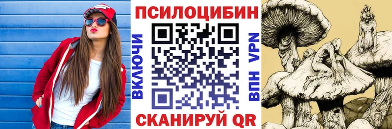 как найти наркотики  Солнечногорск  Галлюциногенные грибы Psilocybine cubensis 